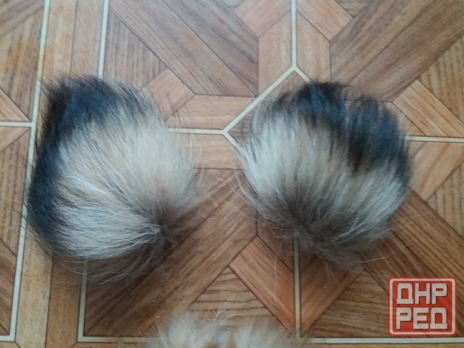 Продам куски меха лисы лисицы Донецк - изображение 5