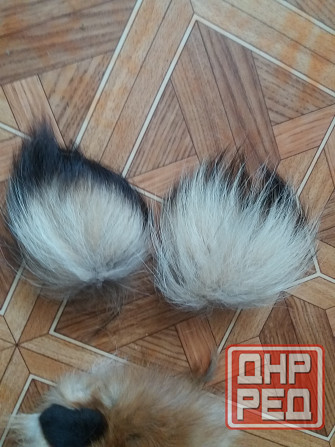 Продам куски меха лисы лисицы Донецк - изображение 6