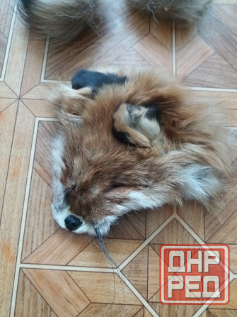 Продам куски меха лисы лисицы Донецк - изображение 4