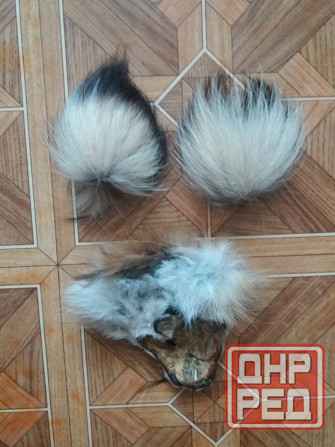 Продам куски меха лисы лисицы Донецк - изображение 2