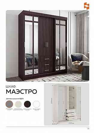 Шкаф купе Маэстро Донецк