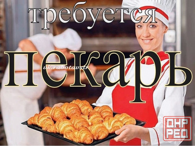 Пекарь Снежное - изображение 1