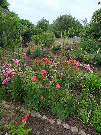 Дача в Бердянске у моря. Донецк