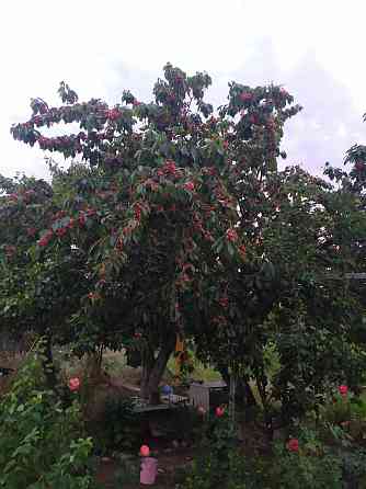 Дача в Бердянске у моря. Донецк