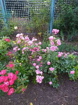 Дача в Бердянске у моря. Донецк