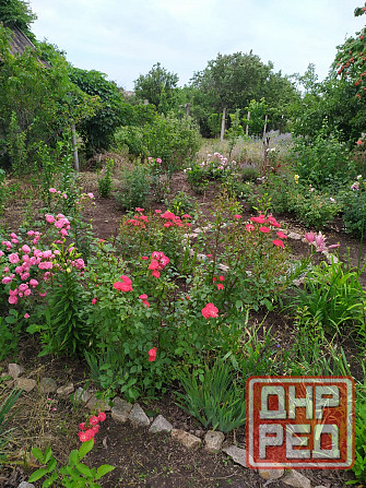 Дача в Бердянске у моря. Донецк - изображение 1