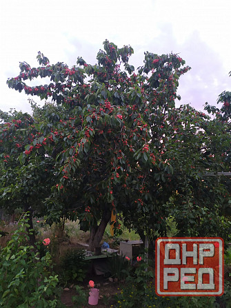 Дача в Бердянске у моря. Донецк - изображение 6