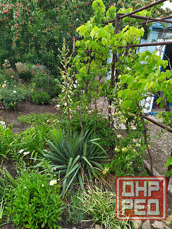 Дача в Бердянске у моря. Донецк - изображение 7