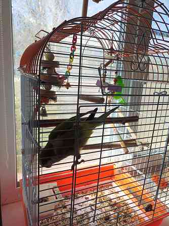 Монах Донецк