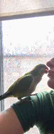 Монах Донецк