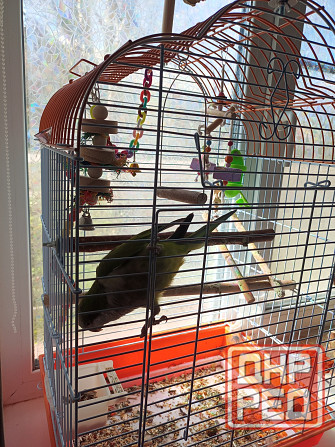 Монах Донецк - изображение 2