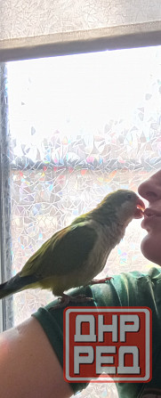 Монах Донецк - изображение 1