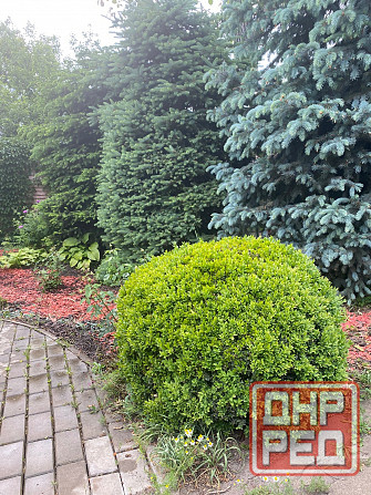 Дом 147 кв.м. Экономическая Донецк - изображение 12