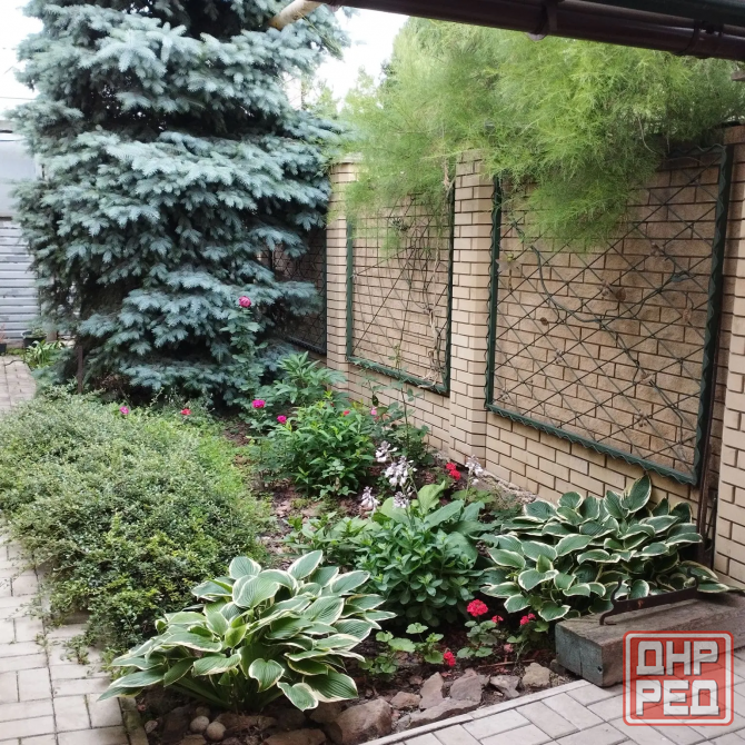 Дом 147 кв.м. Экономическая Донецк - изображение 5