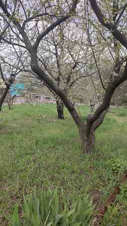 Продам дачный участок. снт.Звезда 2 Донецк