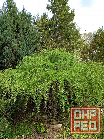 Продается Дом Зугрэс - изображение 10