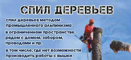 Спил деревьев Донецк