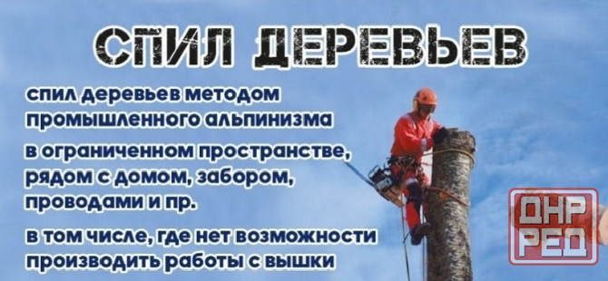 Спил деревьев Донецк - изображение 1
