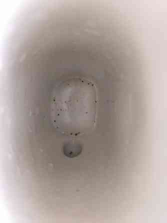 Кружка поильник, бюветница б/у Донецк