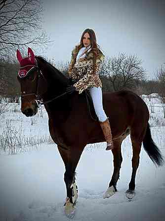 Прогулки на лошадях Донецк