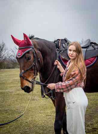 Прогулки на лошадях Донецк