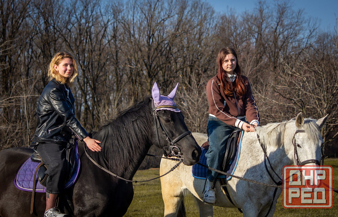 Прогулки на лошадях Донецк - изображение 2