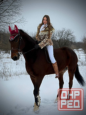 Прогулки на лошадях Донецк - изображение 4