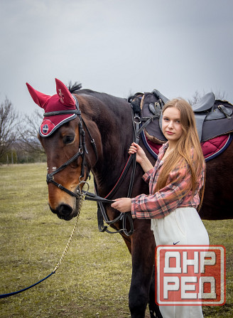 Прогулки на лошадях Донецк - изображение 1