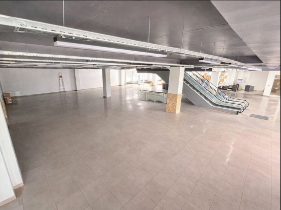 Коммерческое помещение свободного назначения 947.8 кв. м Донецк