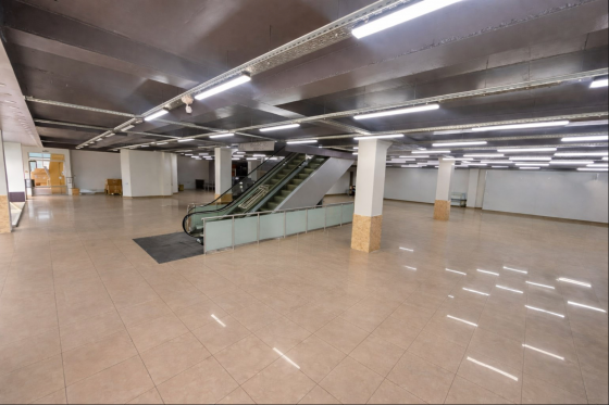 Коммерческое помещение свободного назначения 947.8 кв. м Донецк