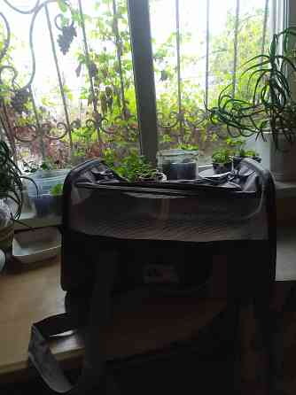 Переноска для животных Донецк