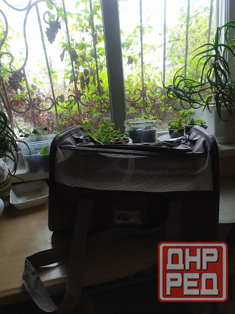 Переноска для животных Донецк - изображение 3