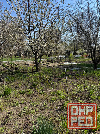 Продам дачный участок в Авдотьино Донецк - изображение 4