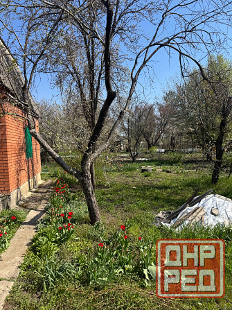 Продам дачный участок в Авдотьино Донецк - изображение 7