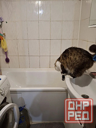 Продается 3 - х комнатная квартира, ас Щетинина Донецк - изображение 11