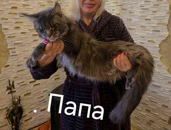 Мейн Кун Донецк