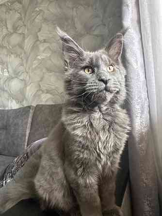 Мейн Кун Донецк