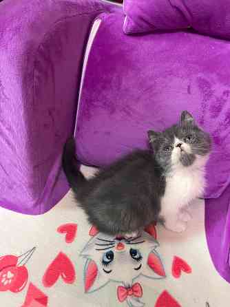 Продам Макеевка