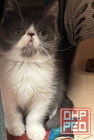 Продам Макеевка - изображение 1