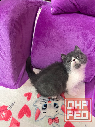 Продам Макеевка - изображение 2