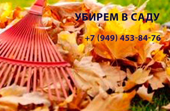 Уборка сада Донецк