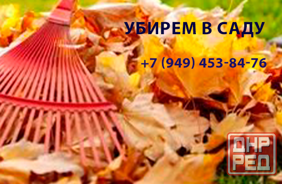 Уборка сада Донецк - изображение 1