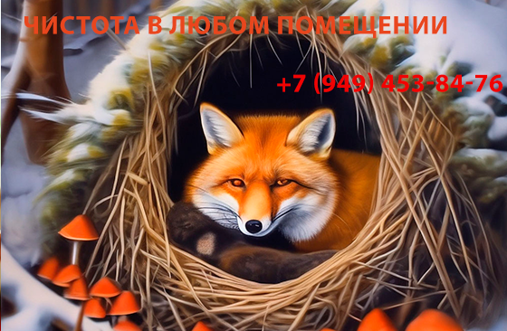 Уборка жилья Донецк