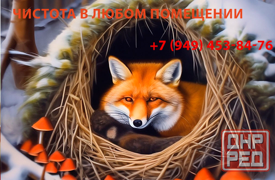 Уборка жилья Донецк - изображение 1