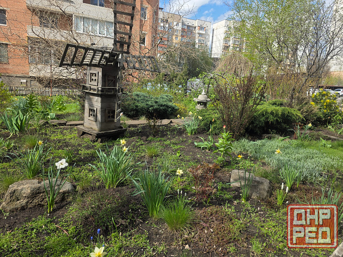 3-х комнатная Евростудия Шахтерская площадь Донецк - изображение 2