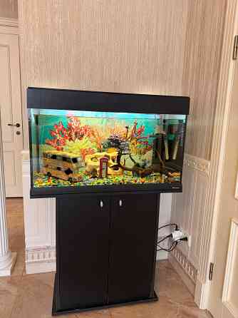 Аквариум 150л с тумбой в комплекте и всем всем Макеевка