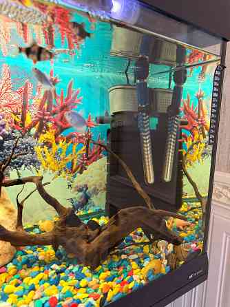 Аквариум 150л с тумбой в комплекте и всем всем Макеевка