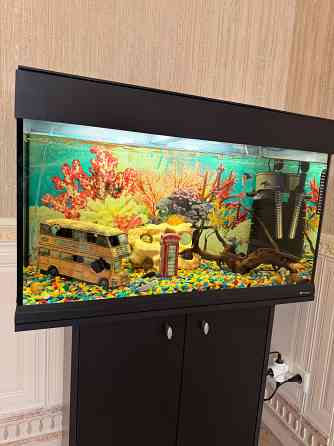 Аквариум 150л с тумбой в комплекте и всем всем Макеевка