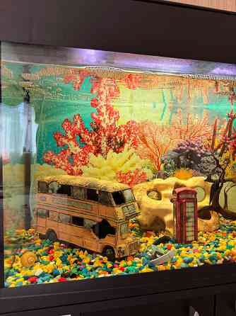 Аквариум 150л с тумбой в комплекте и всем всем Макеевка