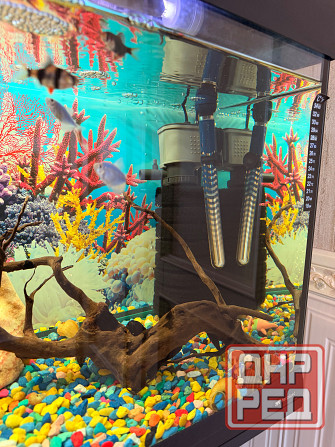 Аквариум 150л с тумбой в комплекте и всем всем Макеевка - изображение 4